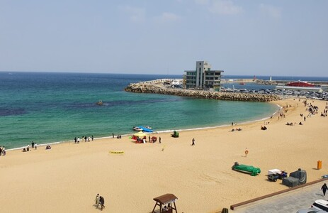 오피라이브 핫플레이스 강릉안목해변