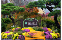 오피라이브 가평아침고요수목원