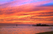 오피라이브 강원정동진