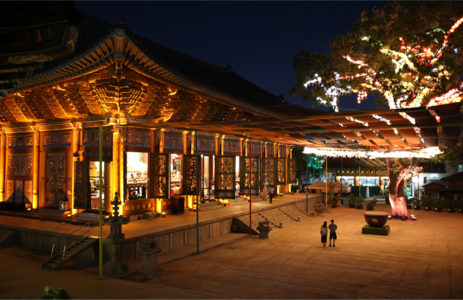 오피라이브 핫플레이스 서울조계사